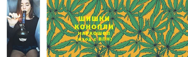 прущие грибы Аркадак