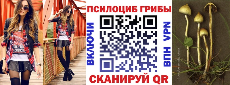 Галлюциногенные грибы прущие грибы Петропавловск-Камчатский